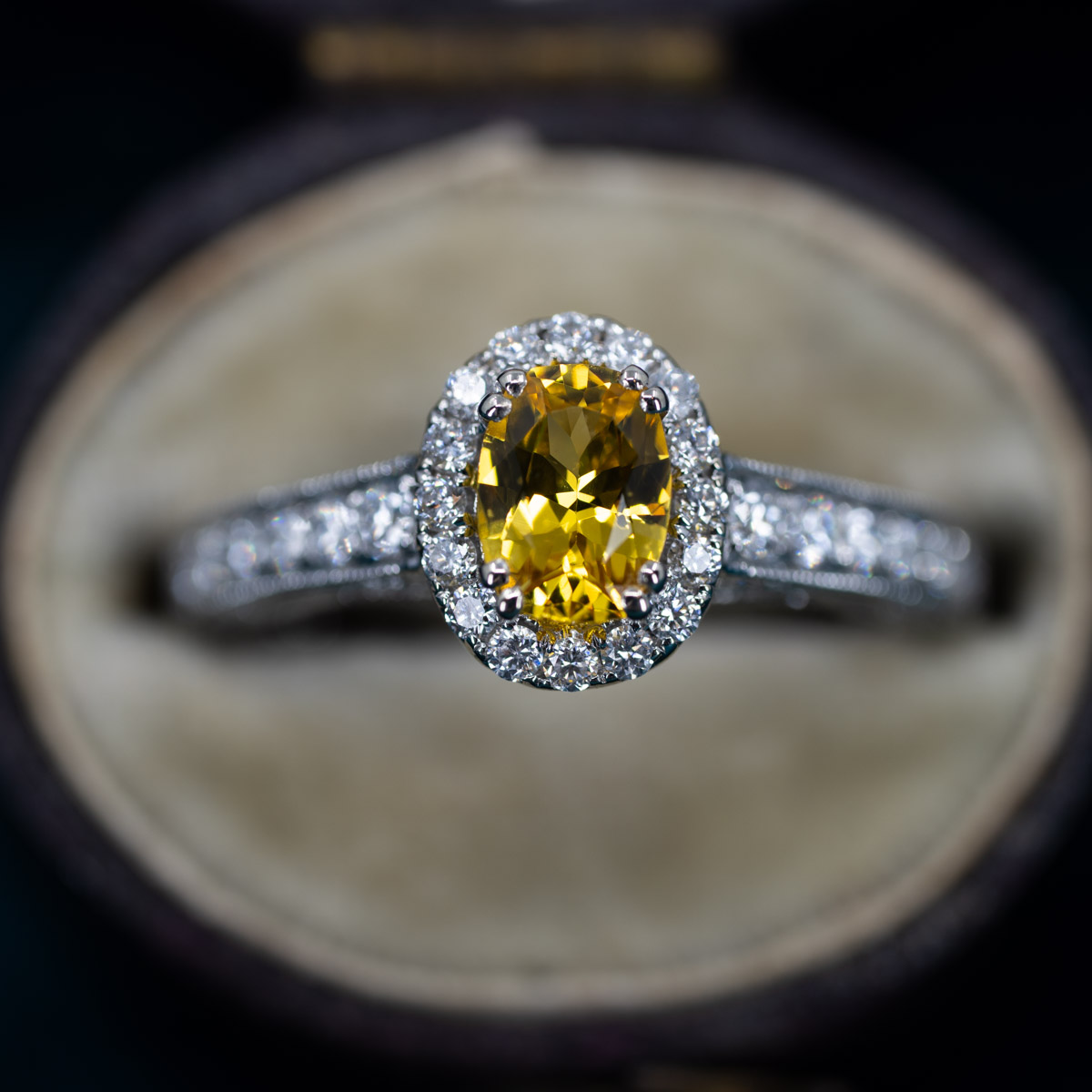 Yellow Sri Lankan Sapphire & Diamond Stunner Ring