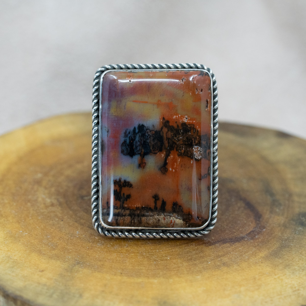 Arizona Rainbow Petrified Wood Rectangle Ring