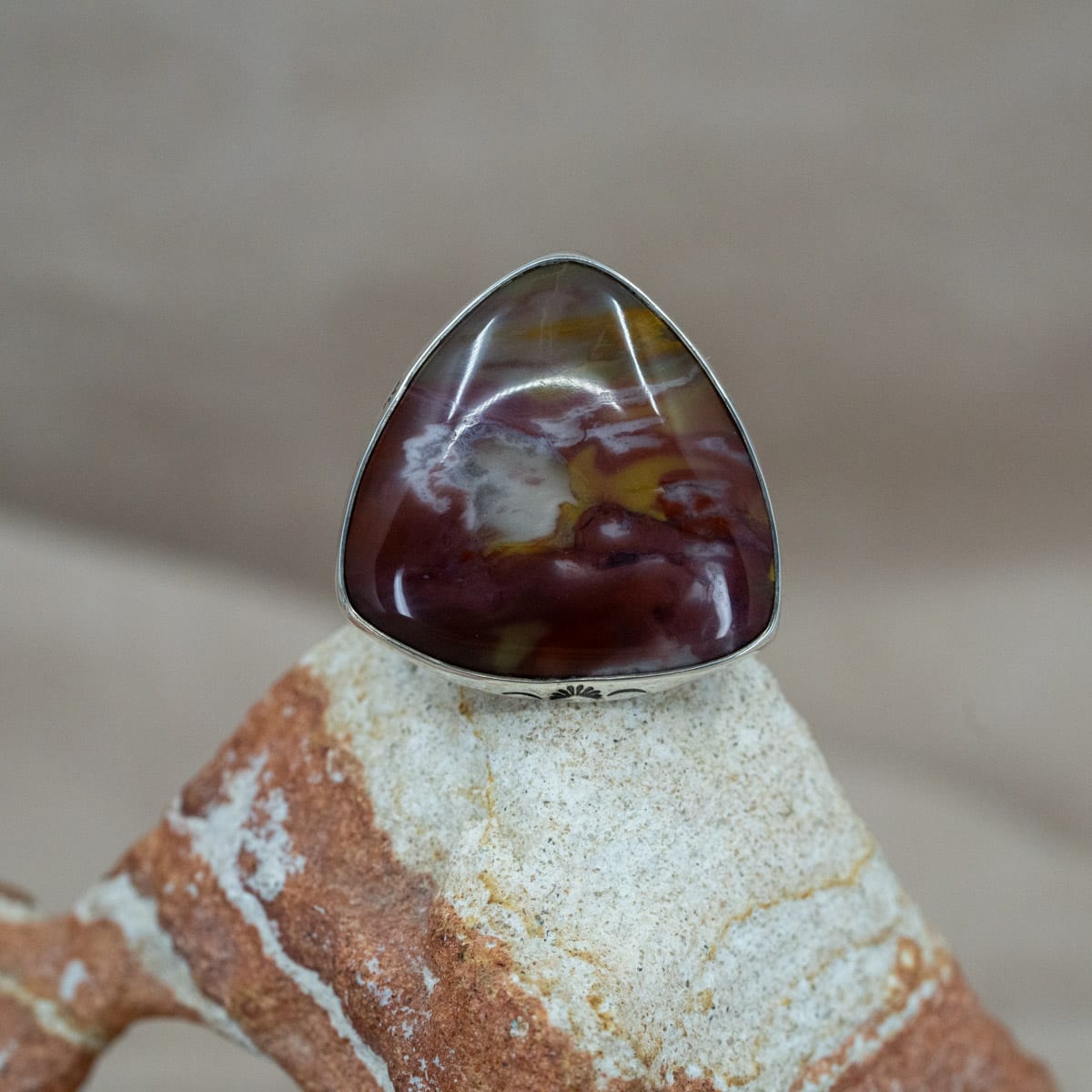 Rainbow Petrified Wood & Star Ring