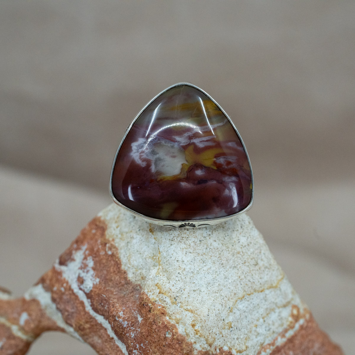 Rainbow Petrified Wood & Star Ring