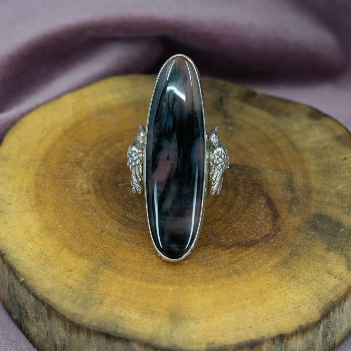 Arizona Petrified Wood & Raven Ring